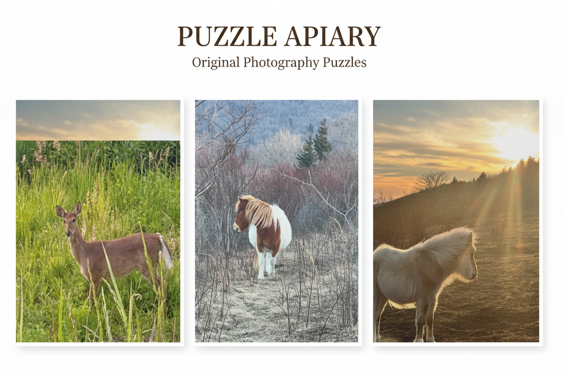 The Case for Choosing a Wildlife Photography Puzzle Over Everything Else