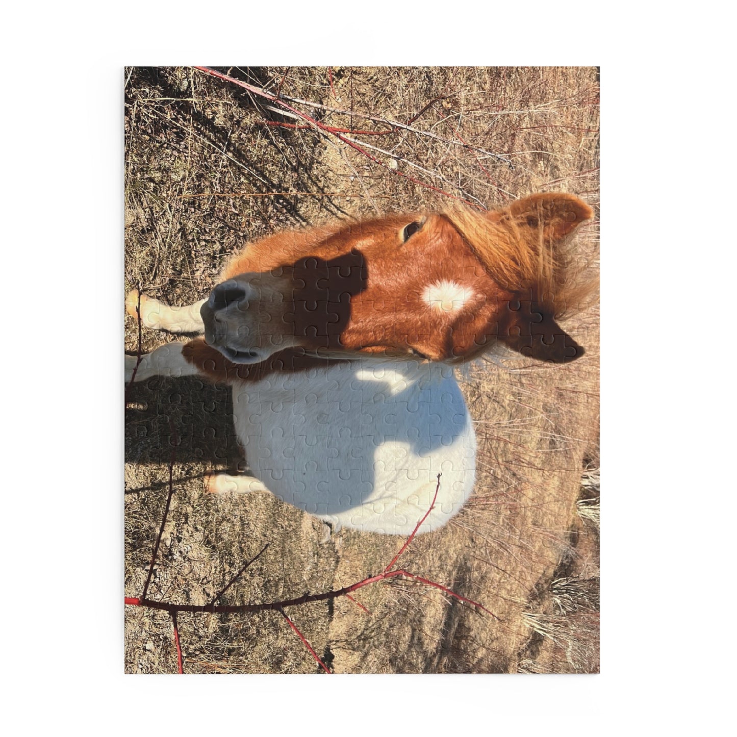 Horse Photo Puzzle - Cute Pony Jigsaw Puzzle (120/252/500 Piece)