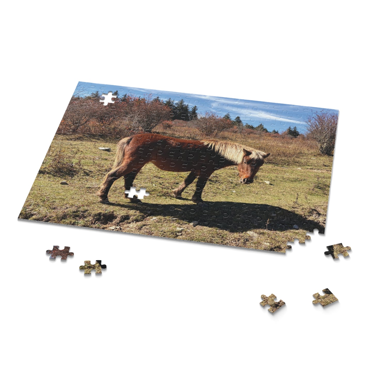 Wild Pony Meadow Puzzle — Scenic Horse Jigsaw (120/252/500 Piece)