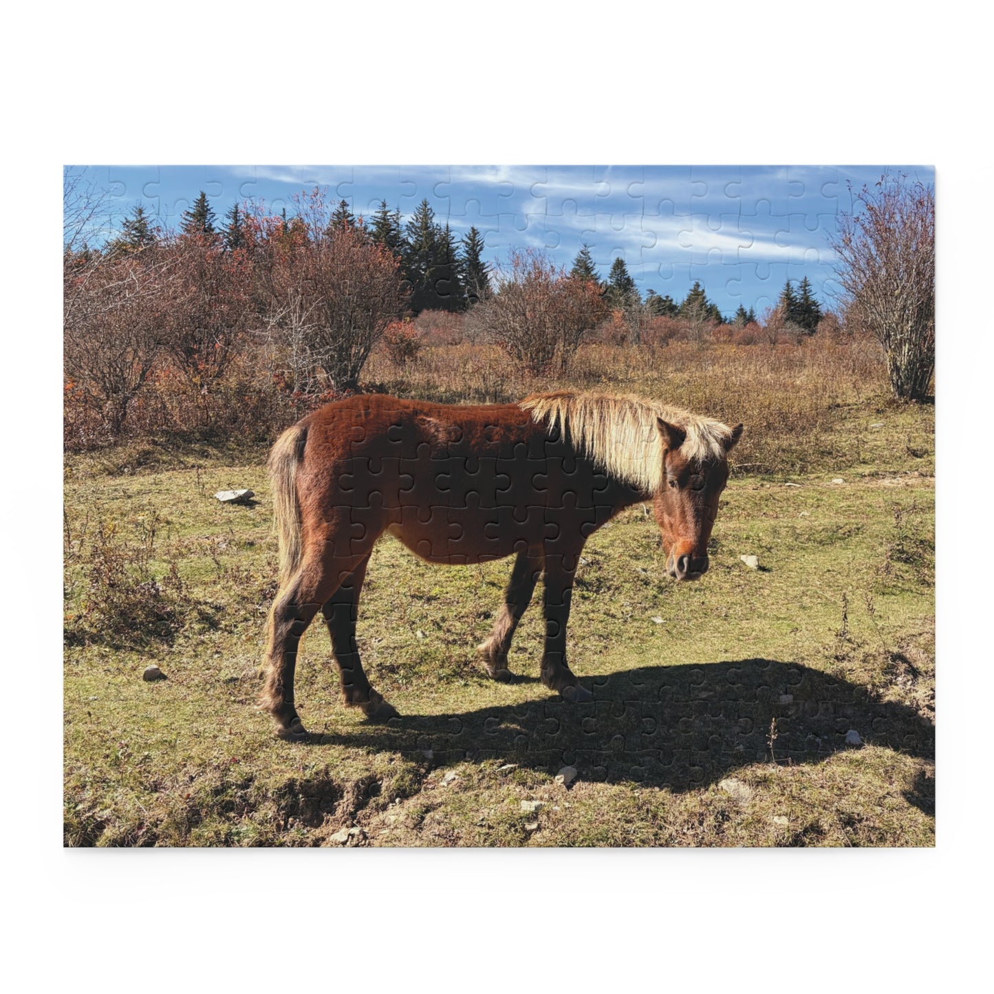 Wild Pony Meadow Puzzle — Scenic Horse Jigsaw (120/252/500 Piece)