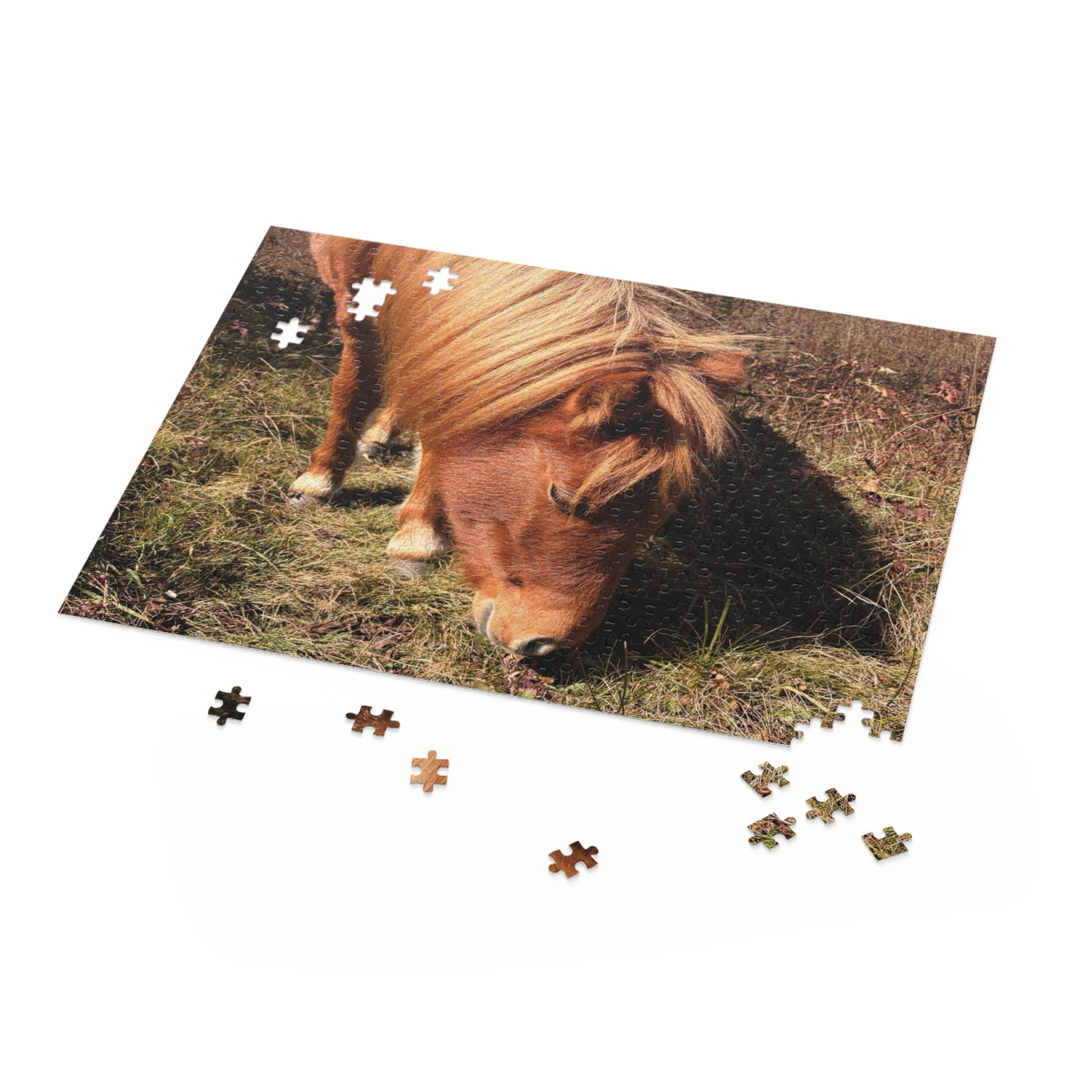 Miniature Horse Jigsaw Puzzle — Grazing Pony Photo (120/252/500 Piece)