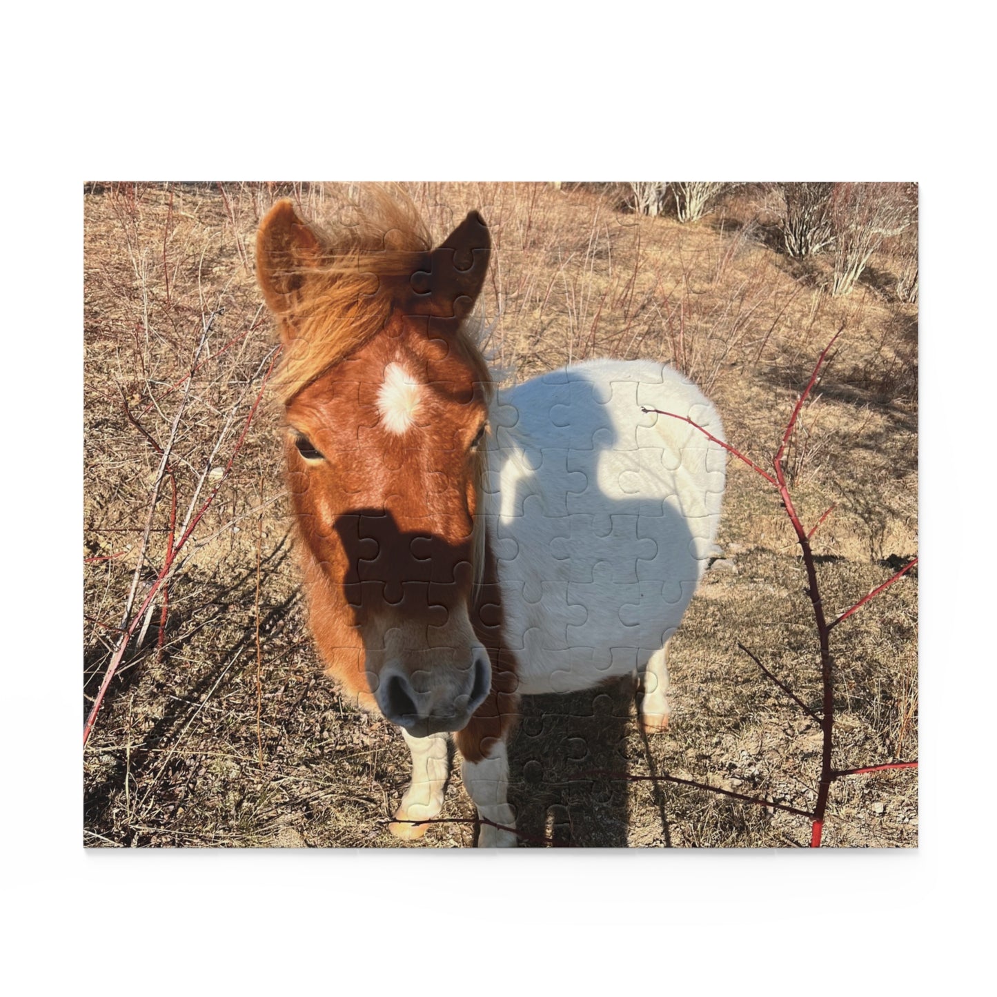 Horse Photo Puzzle - Cute Pony Jigsaw Puzzle (120/252/500 Piece)