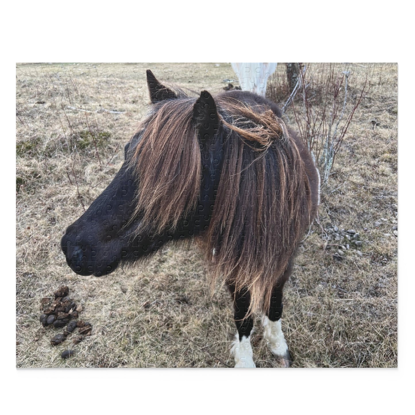 Horse Portrait Puzzle – Brown Pony Photo Jigsaw (120/252/500 Piece)