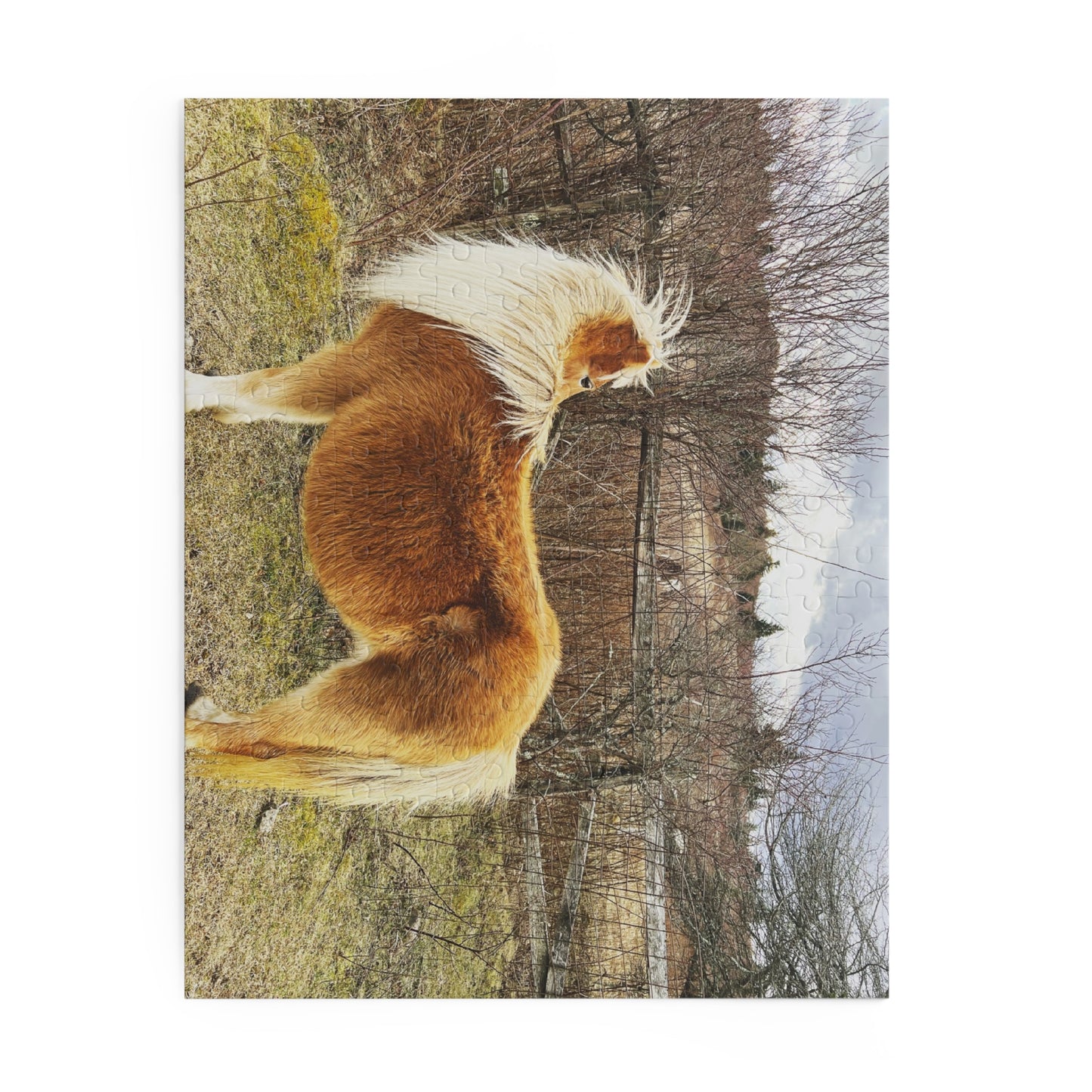 Pony Portrait Puzzle — Scenic Brown Shetland Horse Jigsaw (120/252/500-Piece)