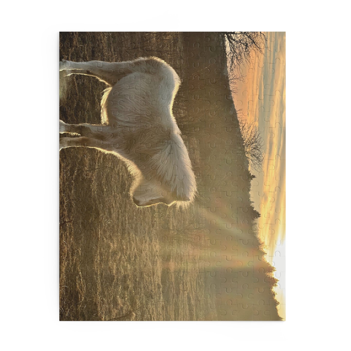 Miniature Horse Sunset Puzzle — 120/252/500-Piece Jigsaw