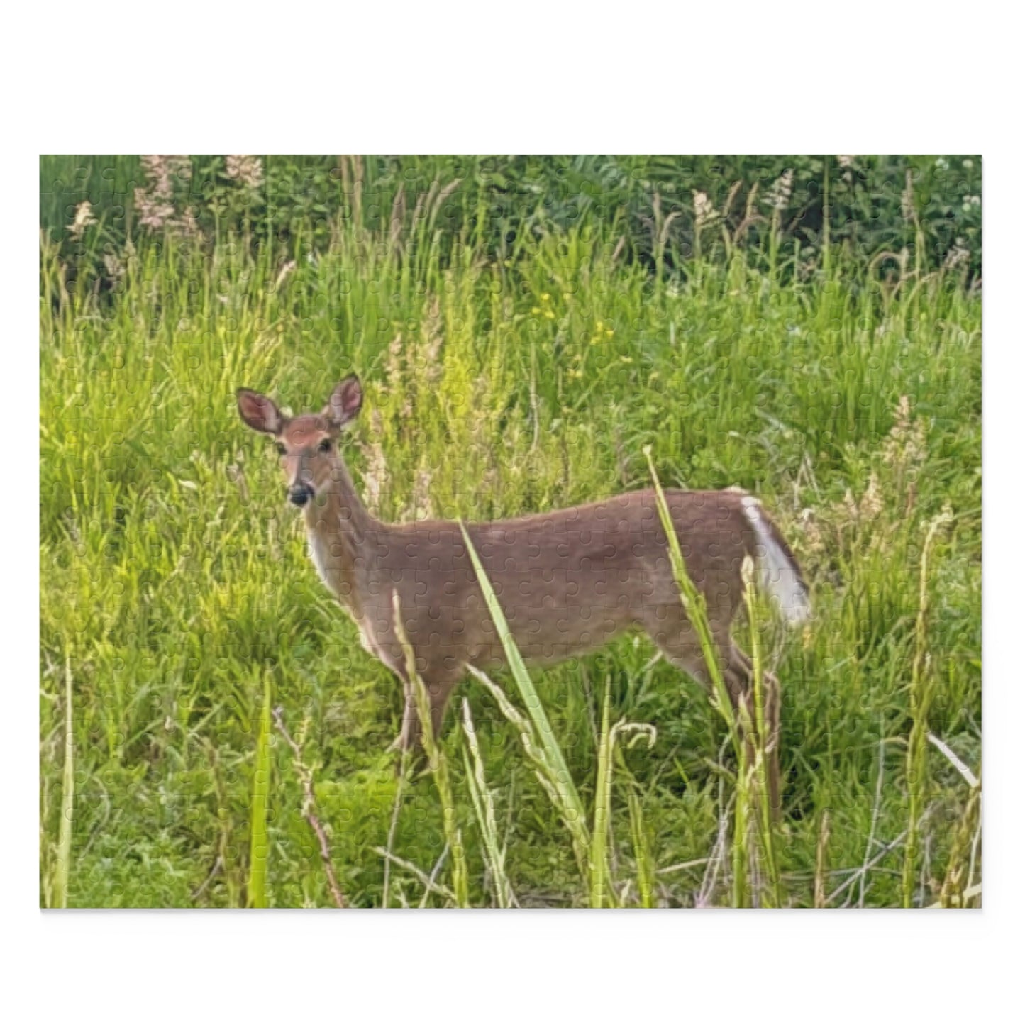 White-Tailed Deer Nature Puzzle — 120/252/500-Piece Wildlife Jigsaw