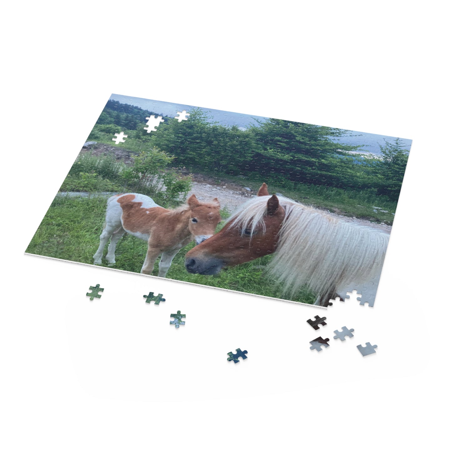 Horse & Foal Scenic Jigsaw Puzzle – 120/252/500-Piece Nature Puzzle
