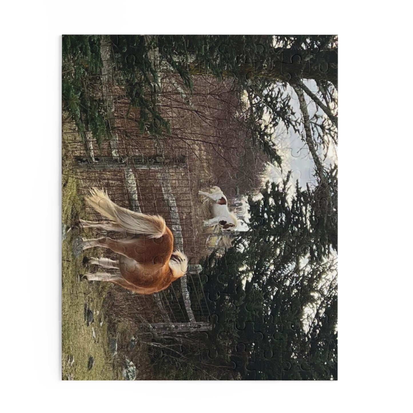 Horse Pasture Jigsaw Puzzle — Scenic Foals in Woodland (120/252/500 pc)