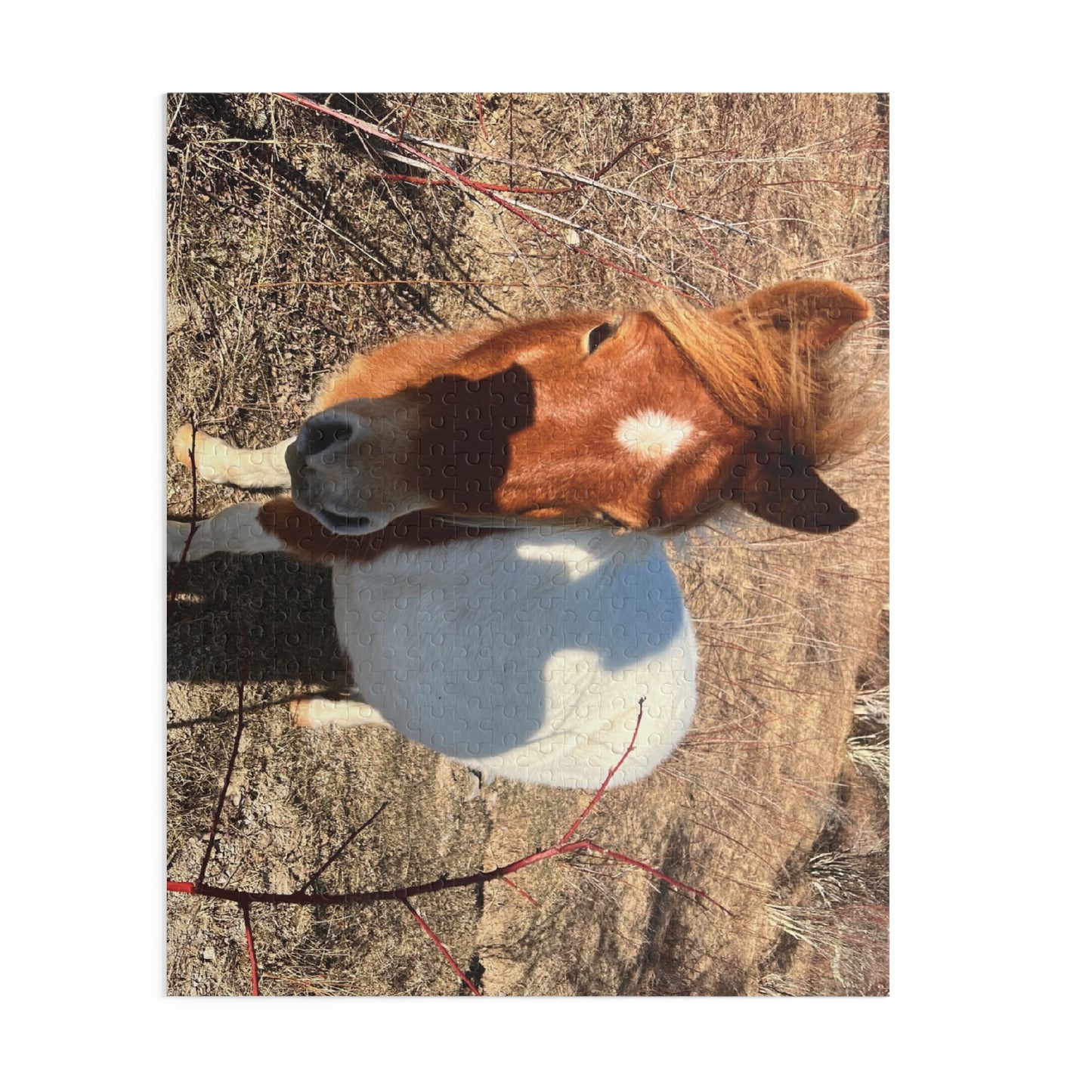 Horse Photo Puzzle - Cute Pony Jigsaw Puzzle (120/252/500 Piece)