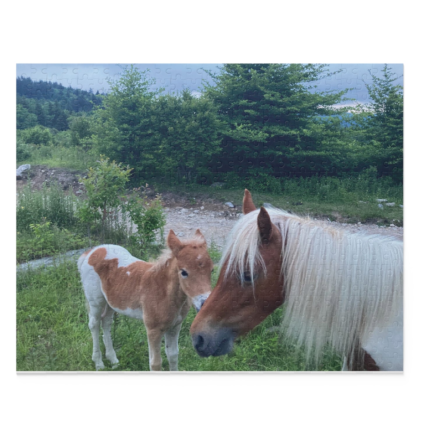 Horse & Foal Scenic Jigsaw Puzzle – 120/252/500-Piece Nature Puzzle