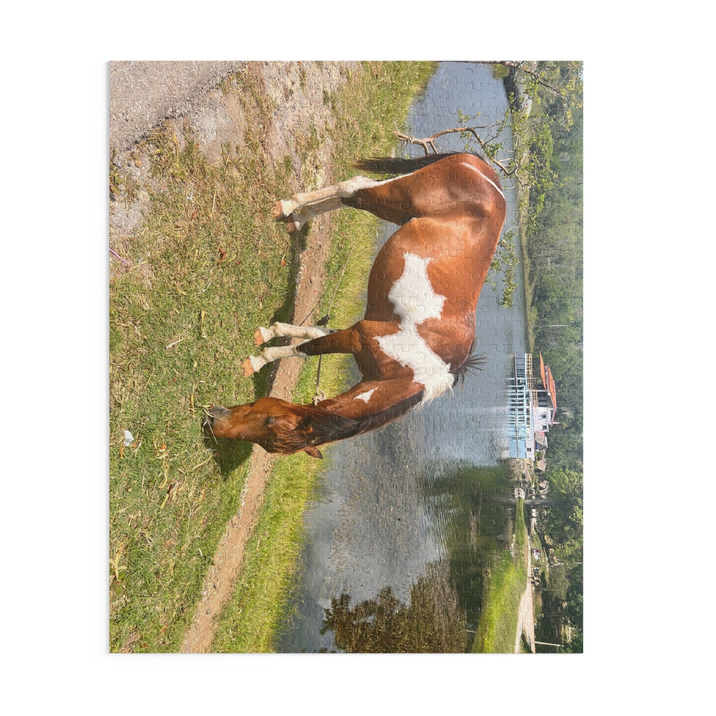 Horse by Lake Jigsaw Puzzle — Scenic Grazing Horse Puzzle (120/252/500-Piece)