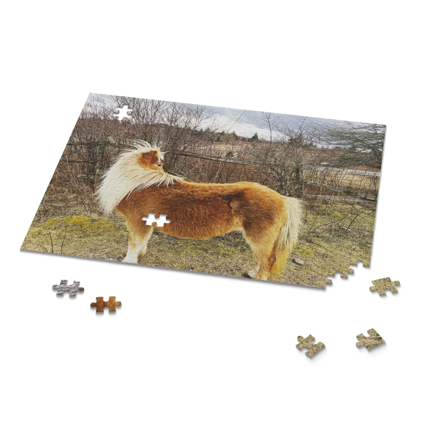 Pony Portrait Puzzle — Scenic Brown Shetland Horse Jigsaw (120/252/500-Piece)