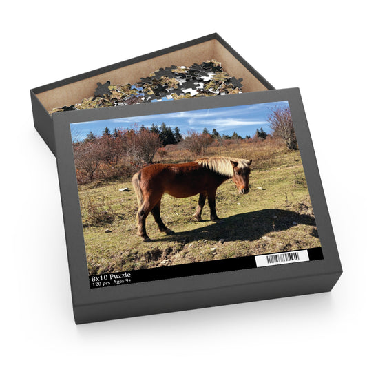 Wild Pony Meadow Puzzle — Scenic Horse Jigsaw (120/252/500 Piece)