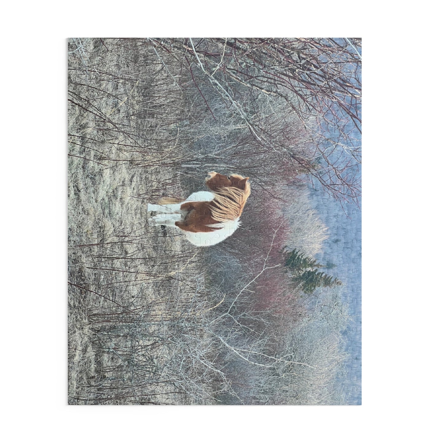 Horse in Winter Meadow Puzzle — Scenic Landscape Jigsaw (110/252/520/1014 pcs)