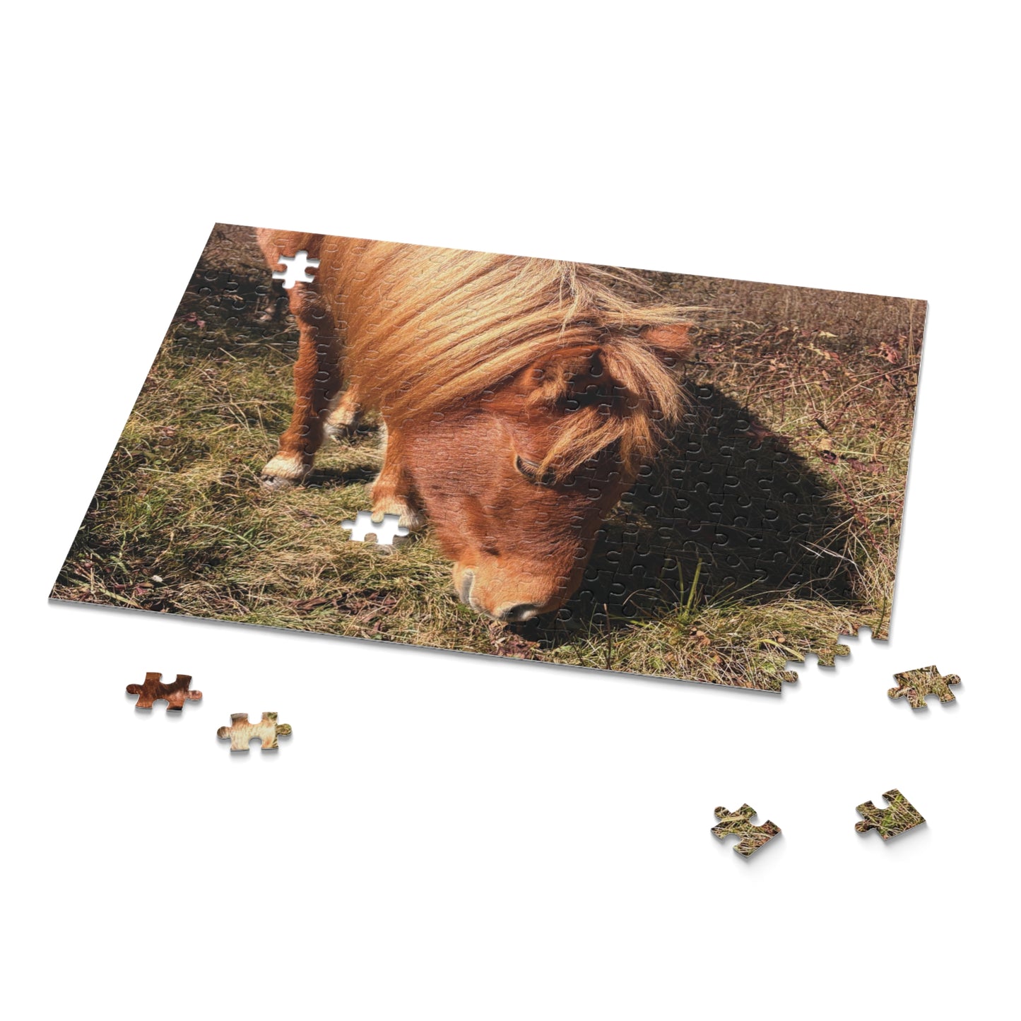 Miniature Horse Jigsaw Puzzle — Grazing Pony Photo (120/252/500 Piece)