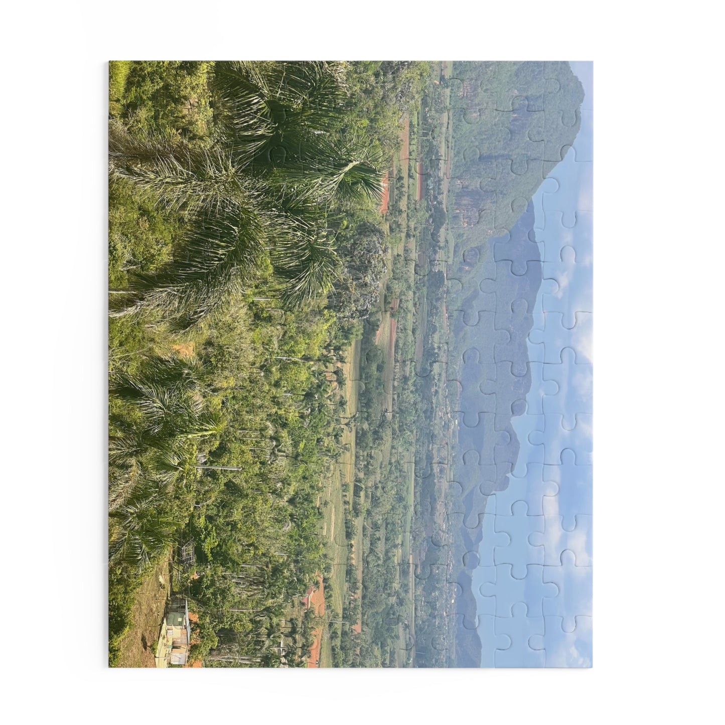 Tropical Valley Landscape Jigsaw Puzzle — Scenic 120/252/500-Piece Jigsaw