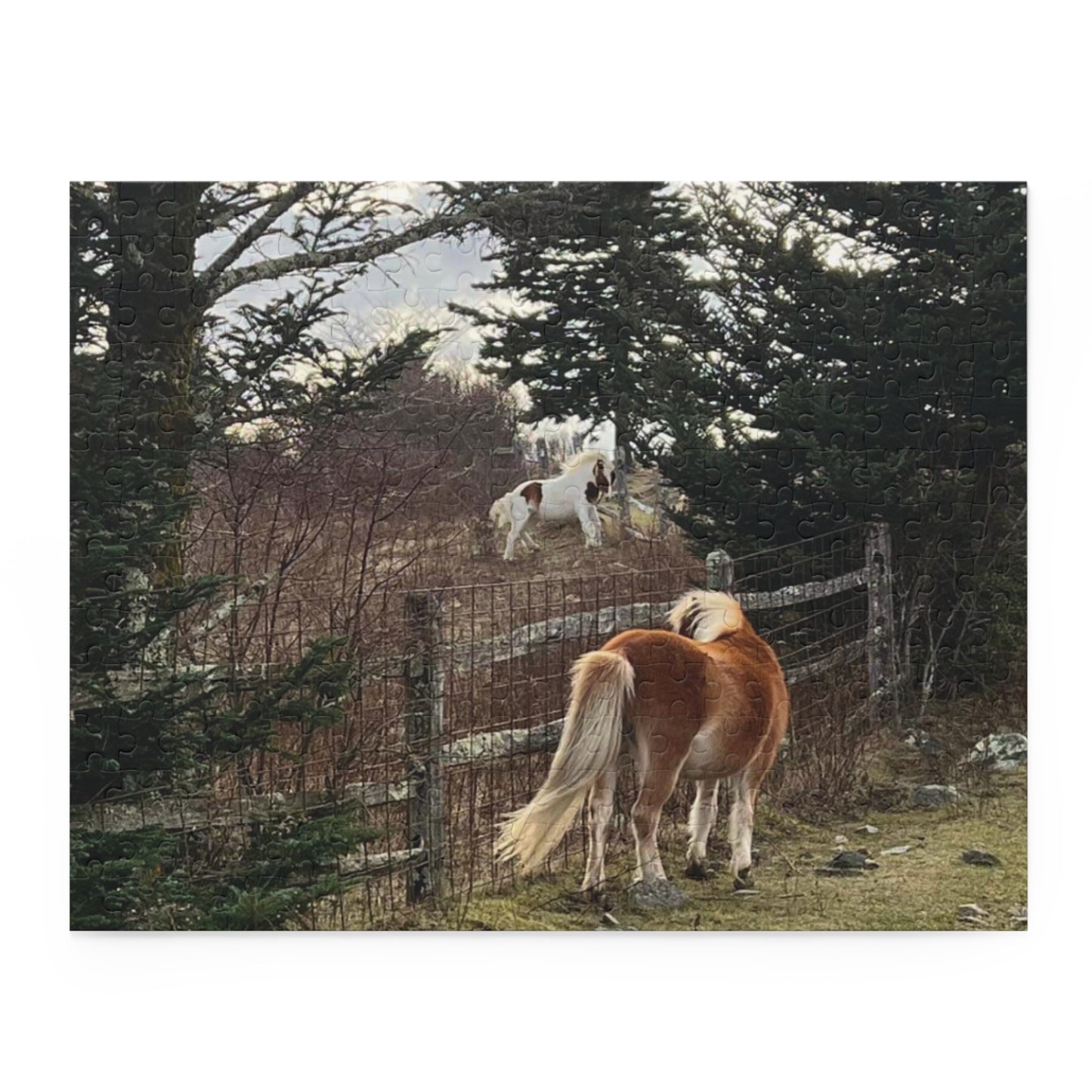 Horse Pasture Jigsaw Puzzle — Scenic Foals in Woodland (120/252/500 pc)