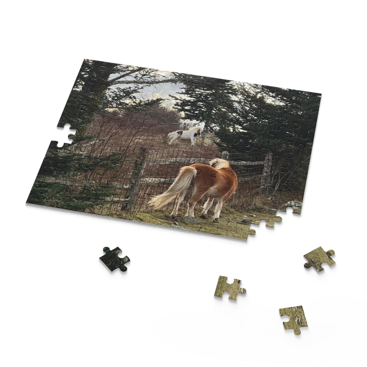 Horse Pasture Jigsaw Puzzle — Scenic Foals in Woodland (120/252/500 pc)