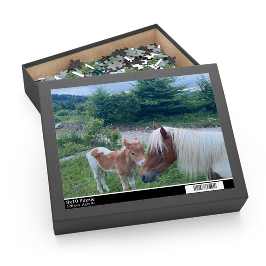 Horse & Foal Scenic Jigsaw Puzzle – 120/252/500-Piece Nature Puzzle