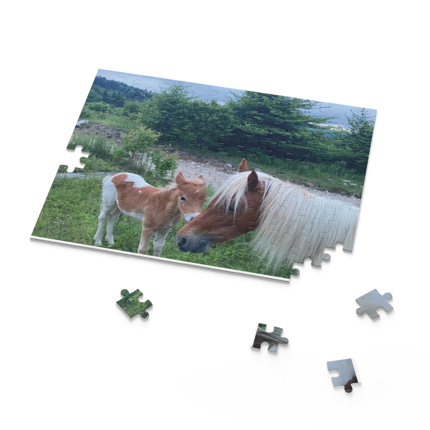 Horse & Foal Scenic Jigsaw Puzzle – 120/252/500-Piece Nature Puzzle