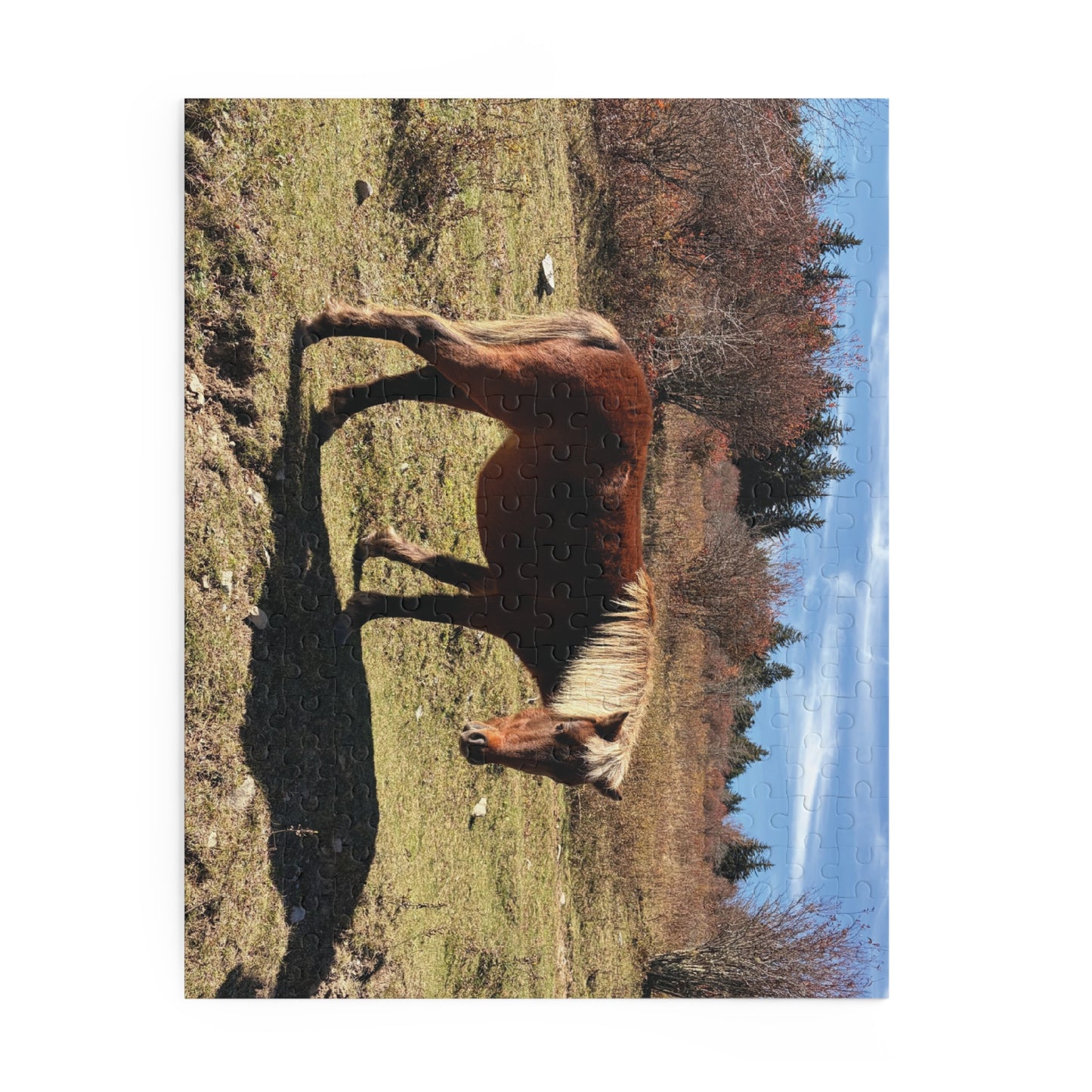 Wild Pony Meadow Puzzle — Scenic Horse Jigsaw (120/252/500 Piece)