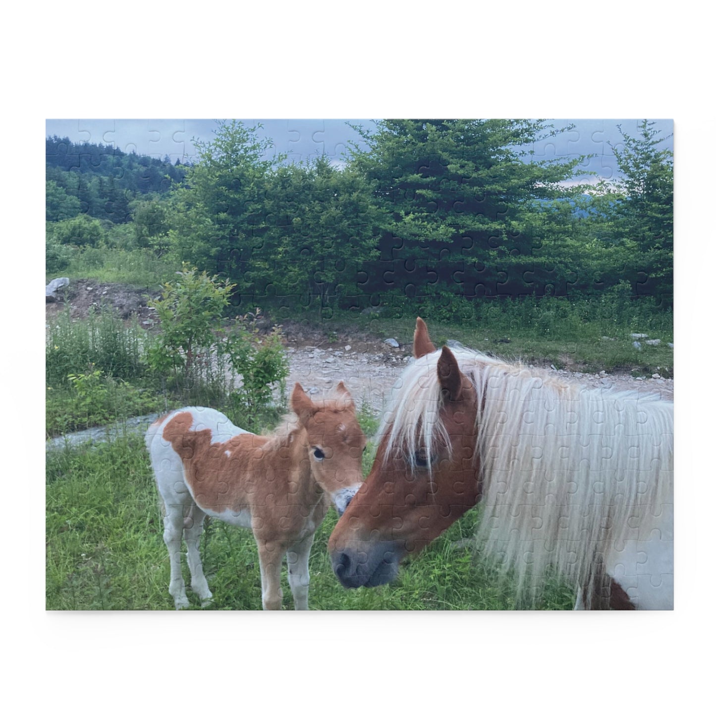 Horse & Foal Scenic Jigsaw Puzzle – 120/252/500-Piece Nature Puzzle