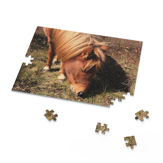 Miniature Horse Jigsaw Puzzle — Grazing Pony Photo (120/252/500 Piece)
