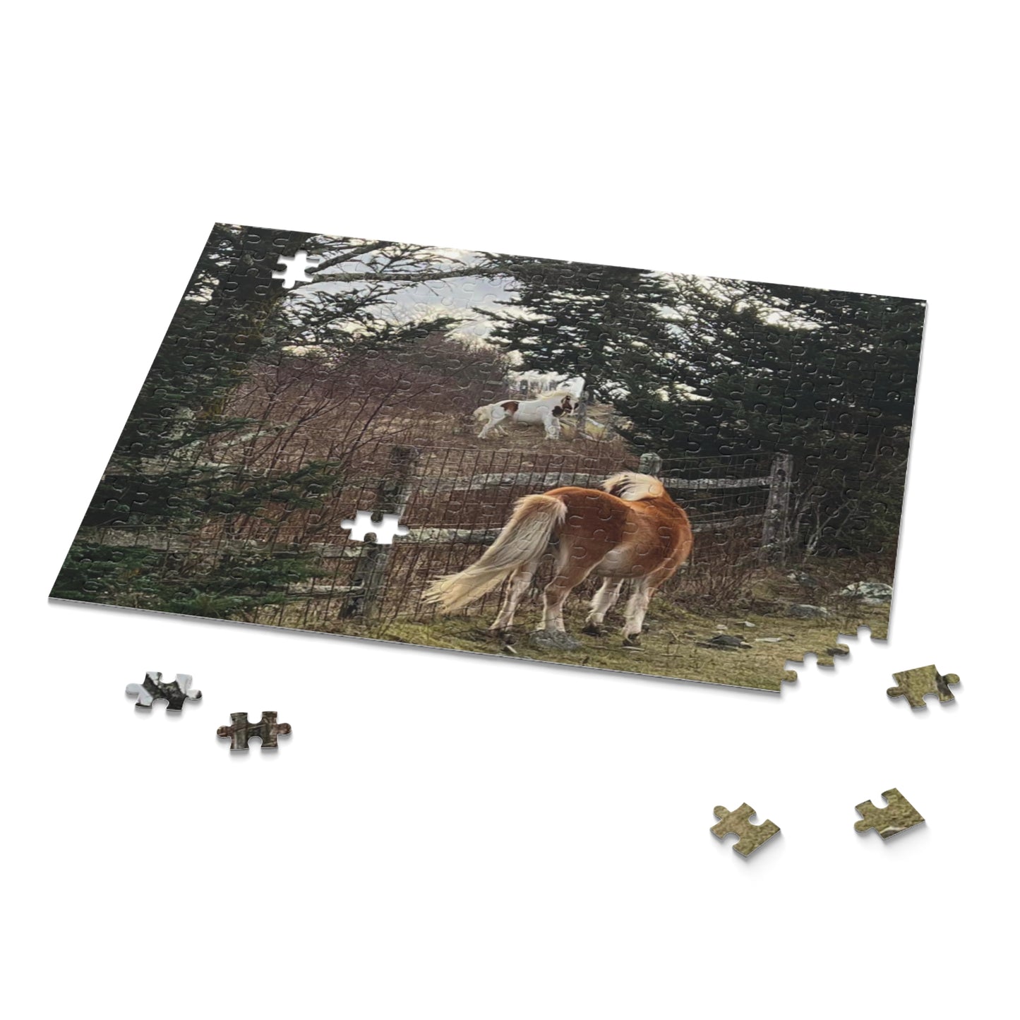Horse Pasture Jigsaw Puzzle — Scenic Foals in Woodland (120/252/500 pc)