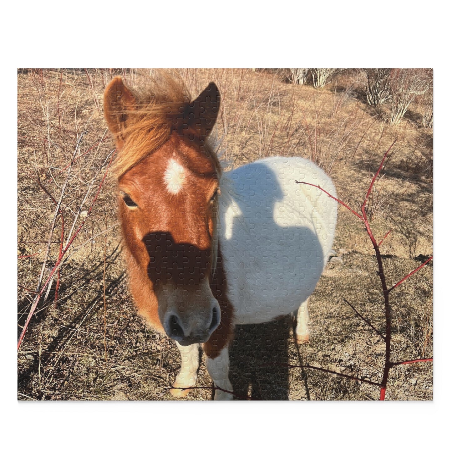 Horse Photo Puzzle - Cute Pony Jigsaw Puzzle (120/252/500 Piece)