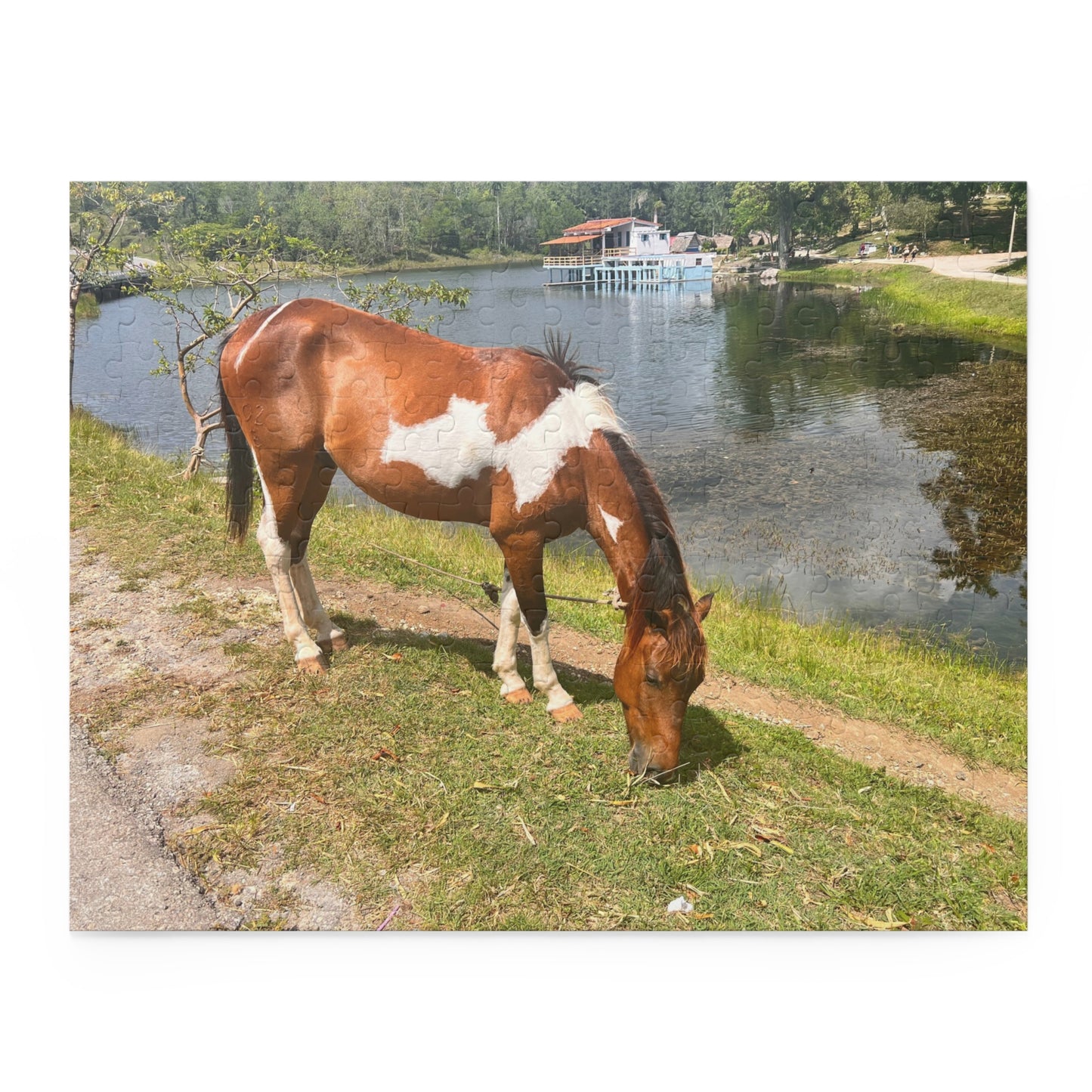 Horse by Lake Jigsaw Puzzle — Scenic Grazing Horse Puzzle (120/252/500-Piece)