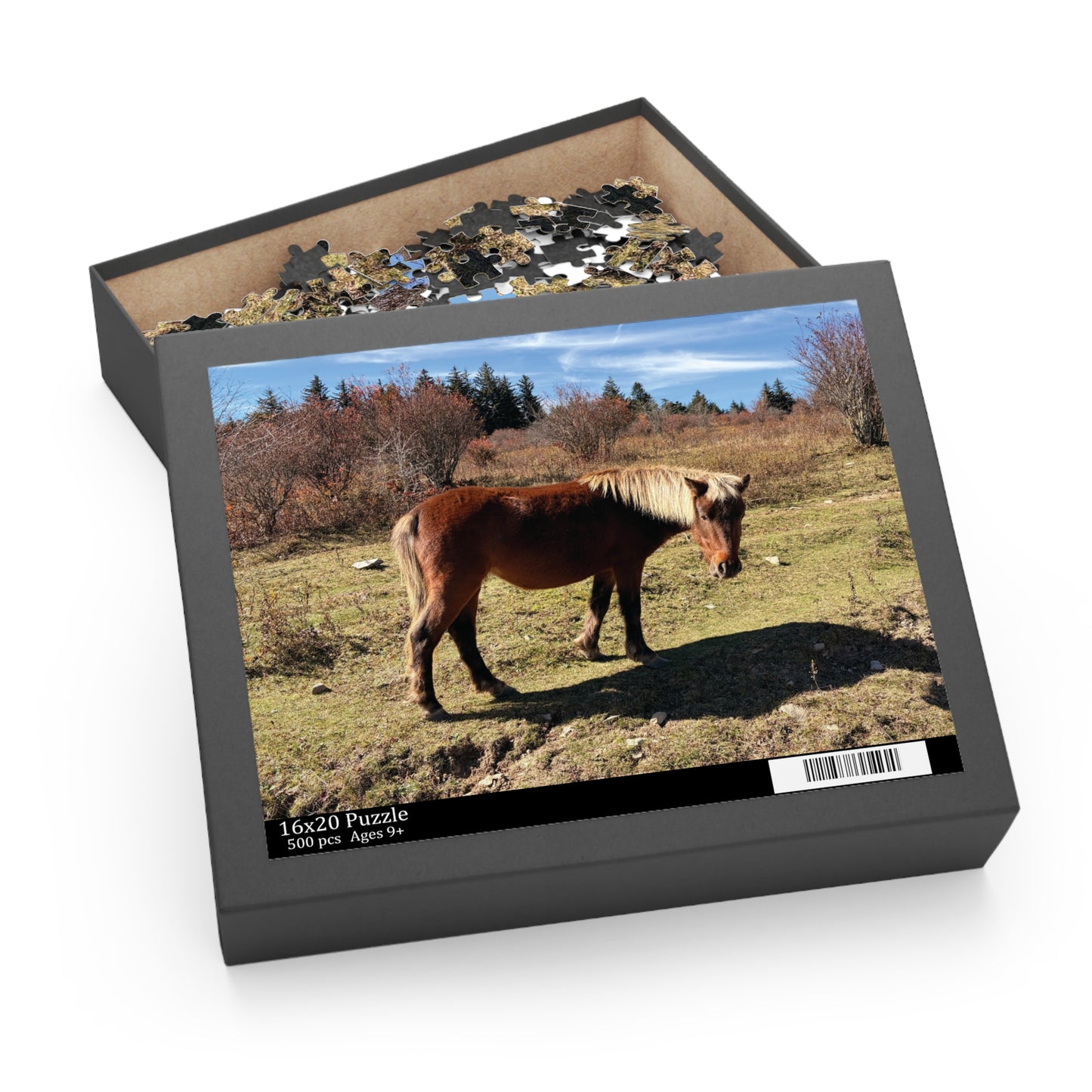 Wild Pony Meadow Puzzle — Scenic Horse Jigsaw (120/252/500 Piece)