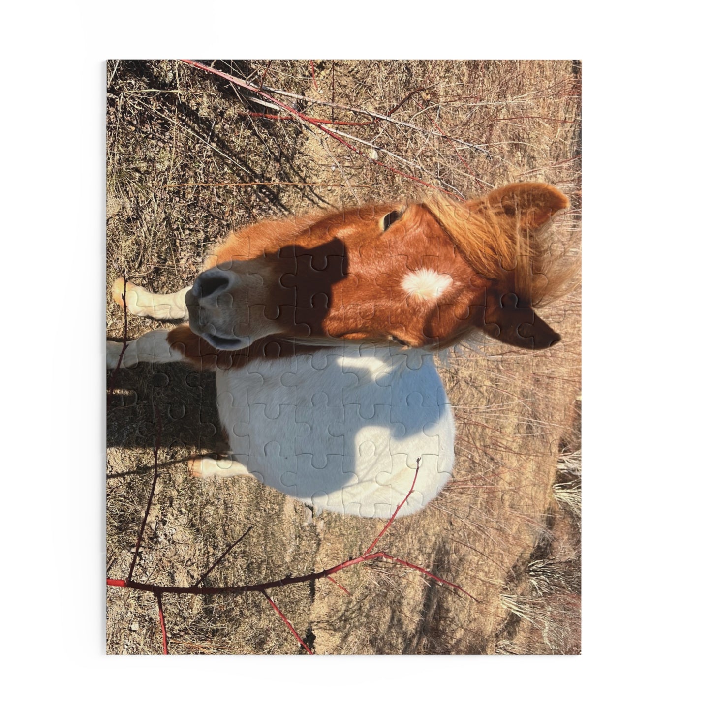 Horse Photo Puzzle - Cute Pony Jigsaw Puzzle (120/252/500 Piece)