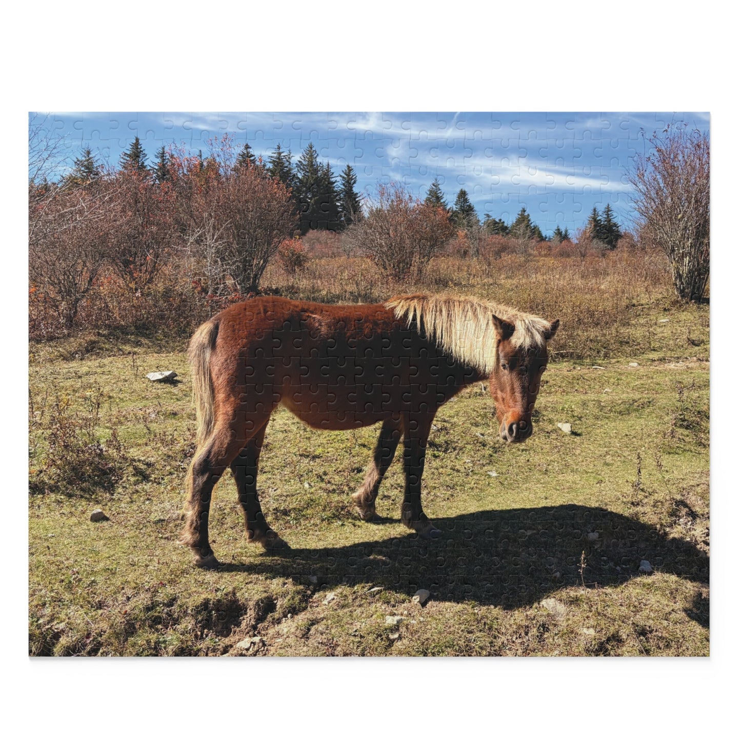 Wild Pony Meadow Puzzle — Scenic Horse Jigsaw (120/252/500 Piece)