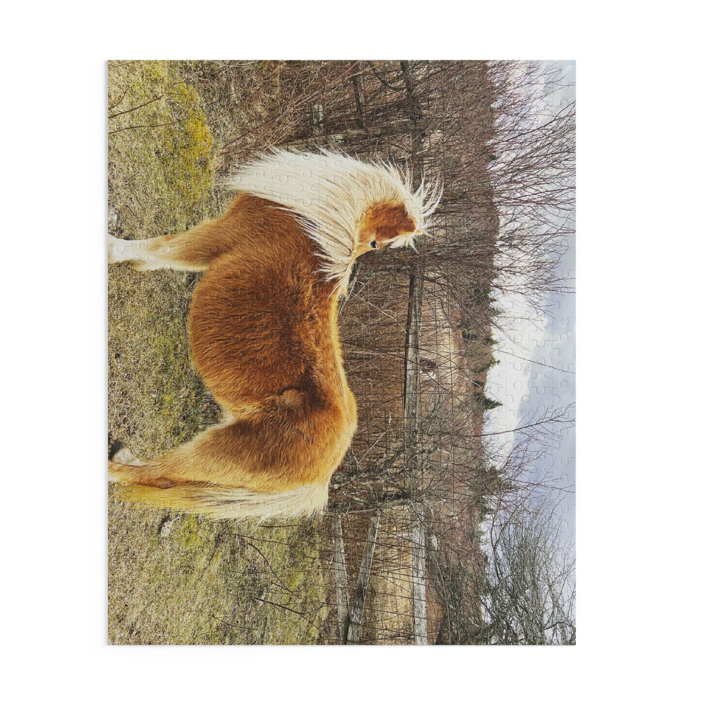 Pony Portrait Puzzle — Scenic Brown Shetland Horse Jigsaw (120/252/500-Piece)