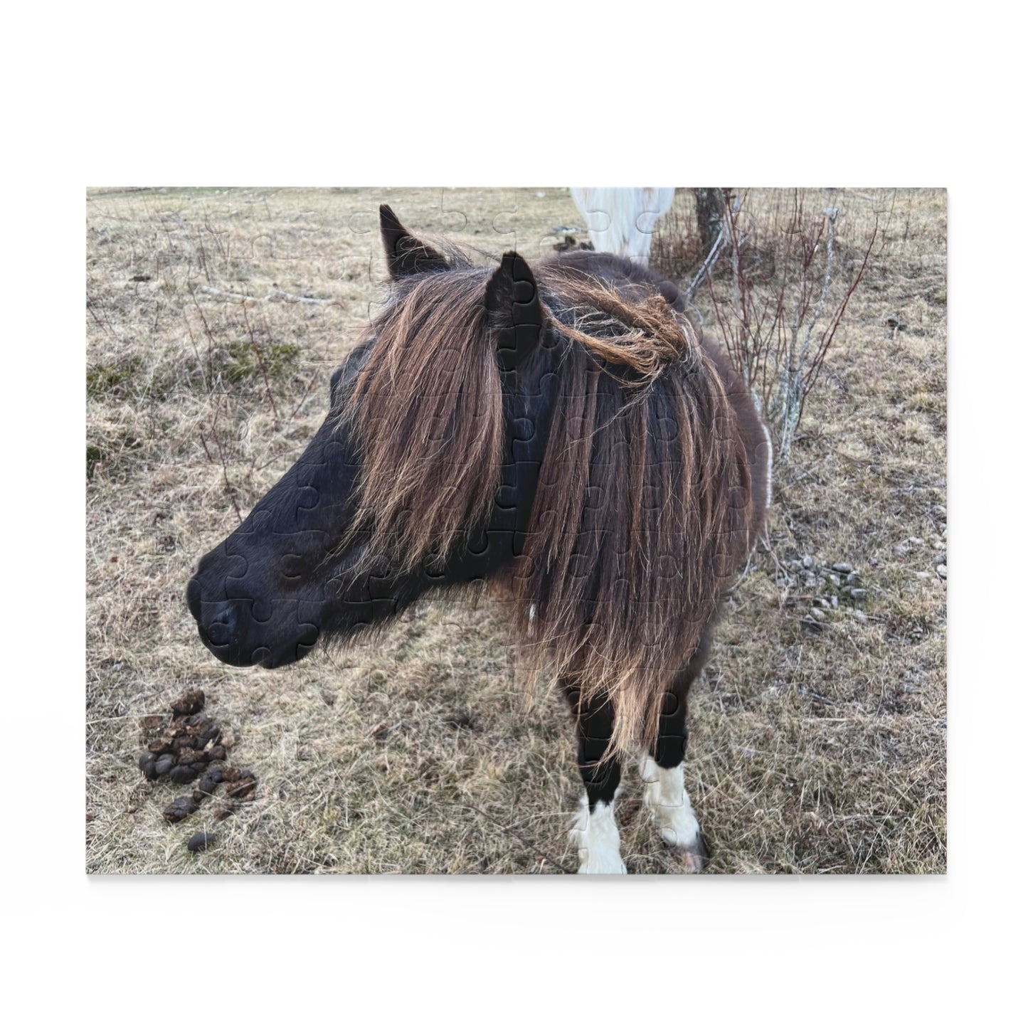 Horse Portrait Puzzle – Brown Pony Photo Jigsaw (120/252/500 Piece)