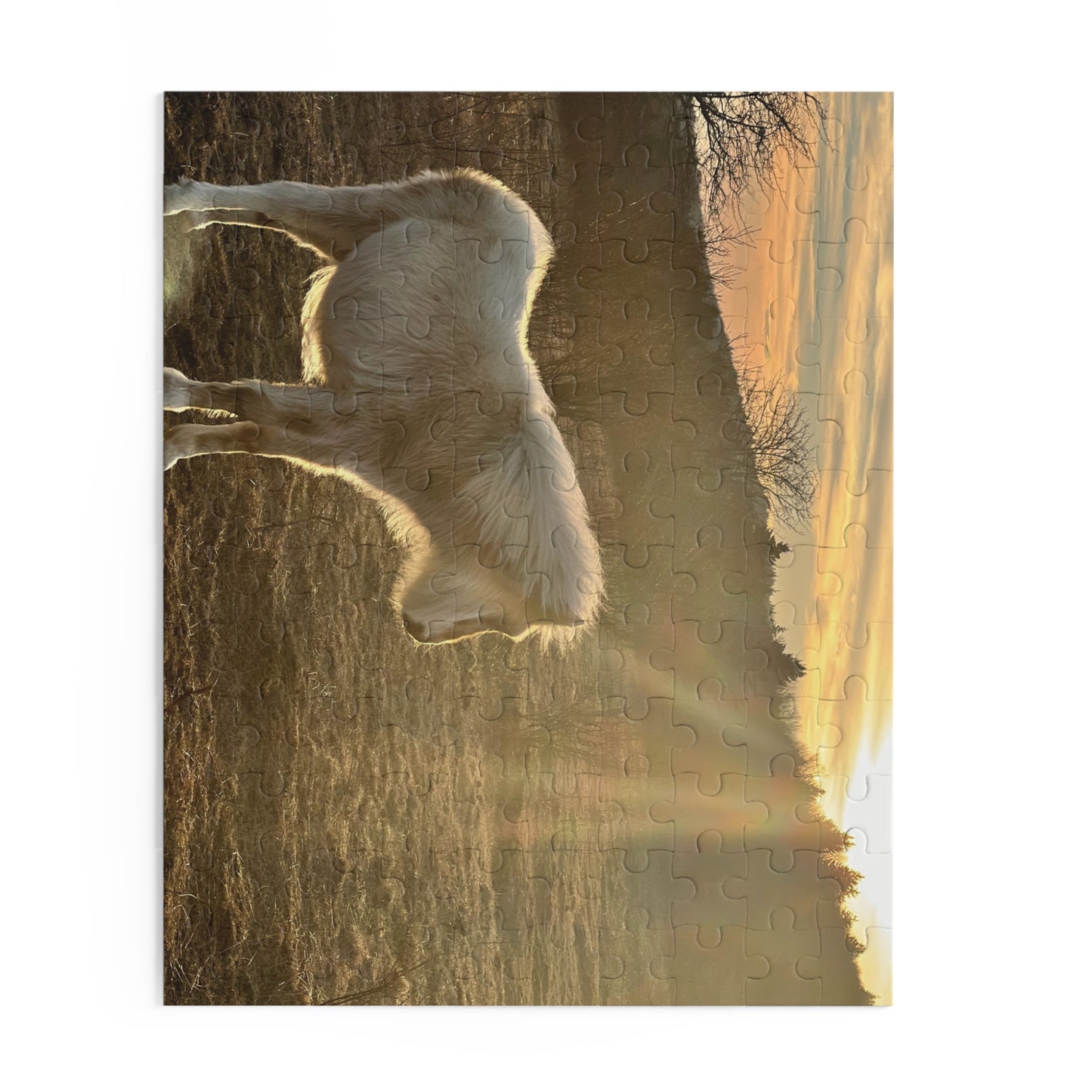 Miniature Horse Sunset Puzzle — 120/252/500-Piece Jigsaw
