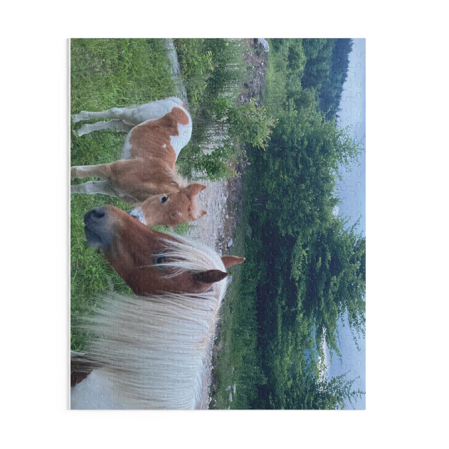 Horse & Foal Scenic Jigsaw Puzzle – 120/252/500-Piece Nature Puzzle