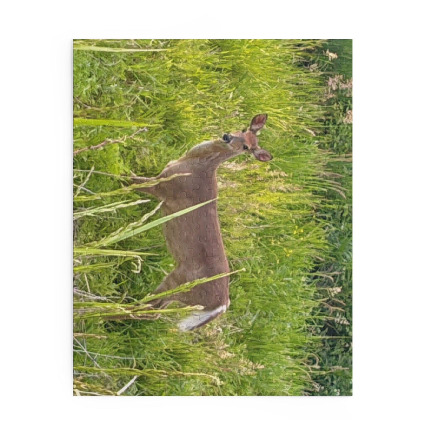 White-Tailed Deer Nature Puzzle — 120/252/500-Piece Wildlife Jigsaw