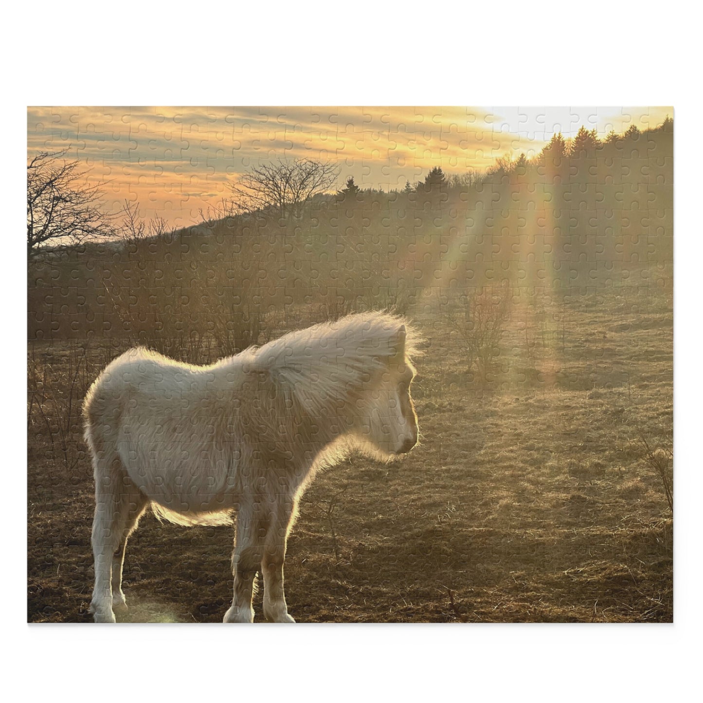 Miniature Horse Sunset Puzzle — 120/252/500-Piece Jigsaw