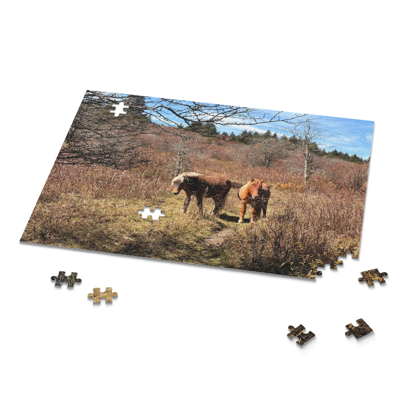 Wild Mare Meadow Puzzle — 120/252/500-Piece Scenic Horse Jigsaw