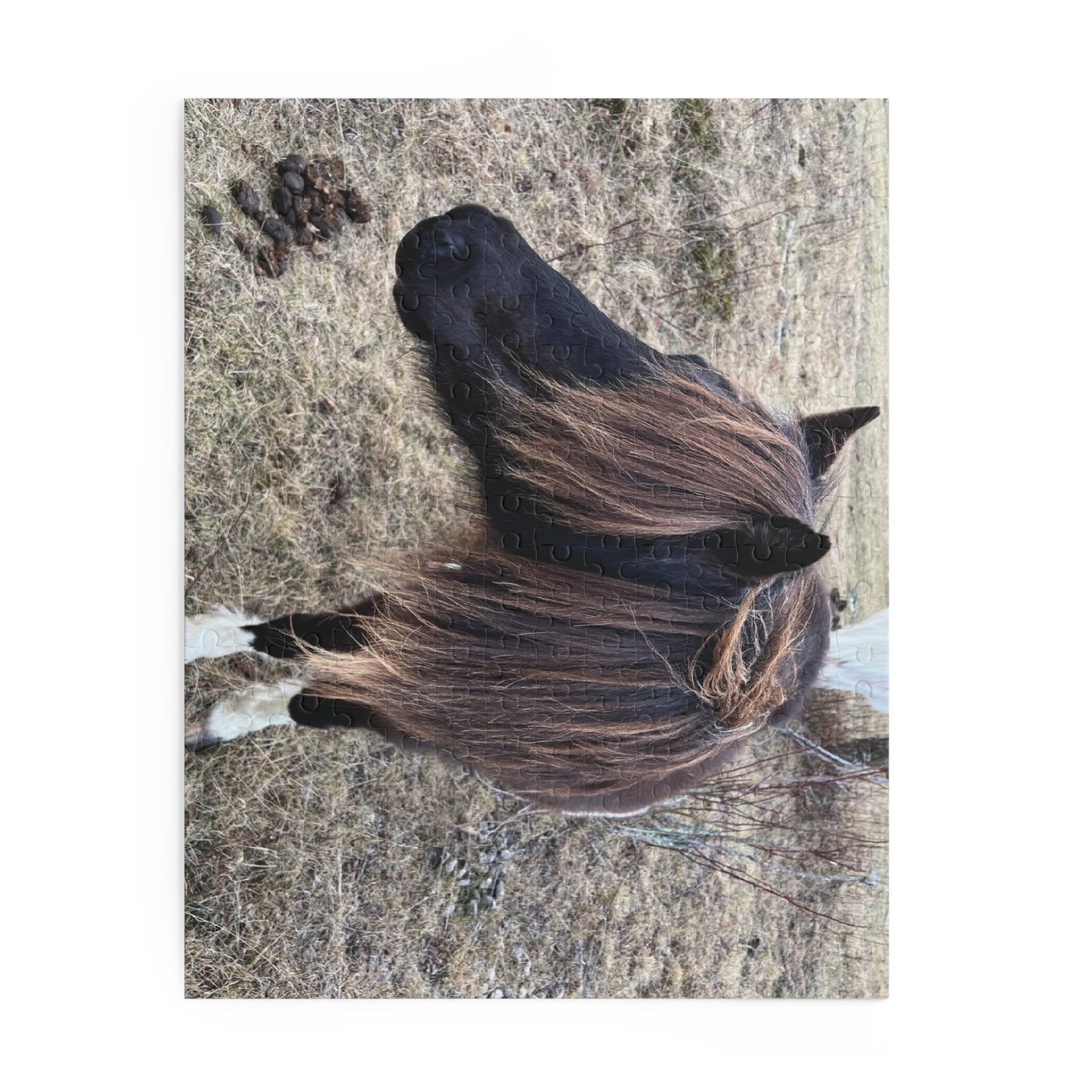 Horse Portrait Puzzle – Brown Pony Photo Jigsaw (120/252/500 Piece)