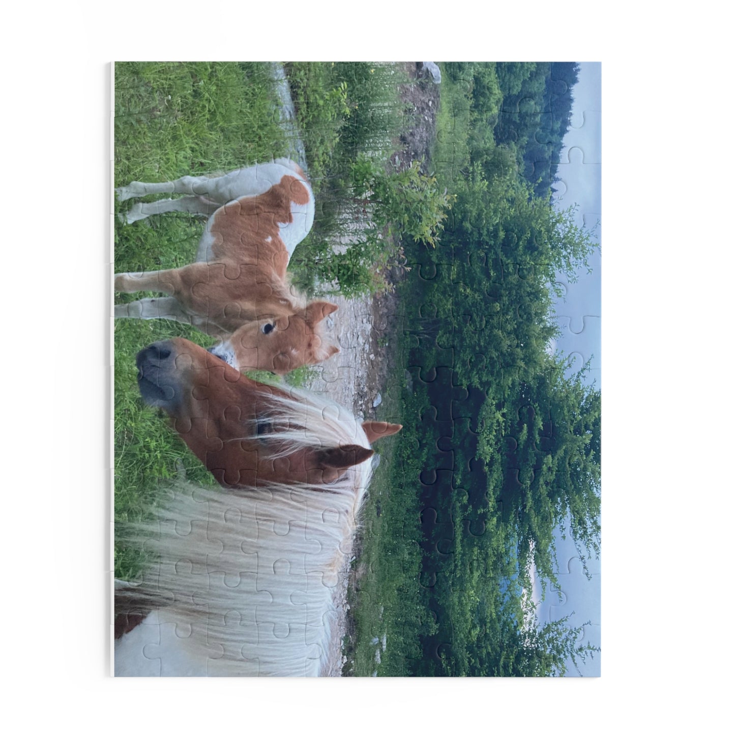Horse & Foal Scenic Jigsaw Puzzle – 120/252/500-Piece Nature Puzzle