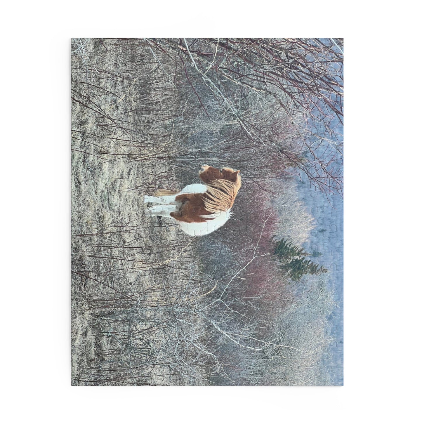 Horse in Winter Meadow Puzzle — Scenic Landscape Jigsaw (110/252/520/1014 pcs)