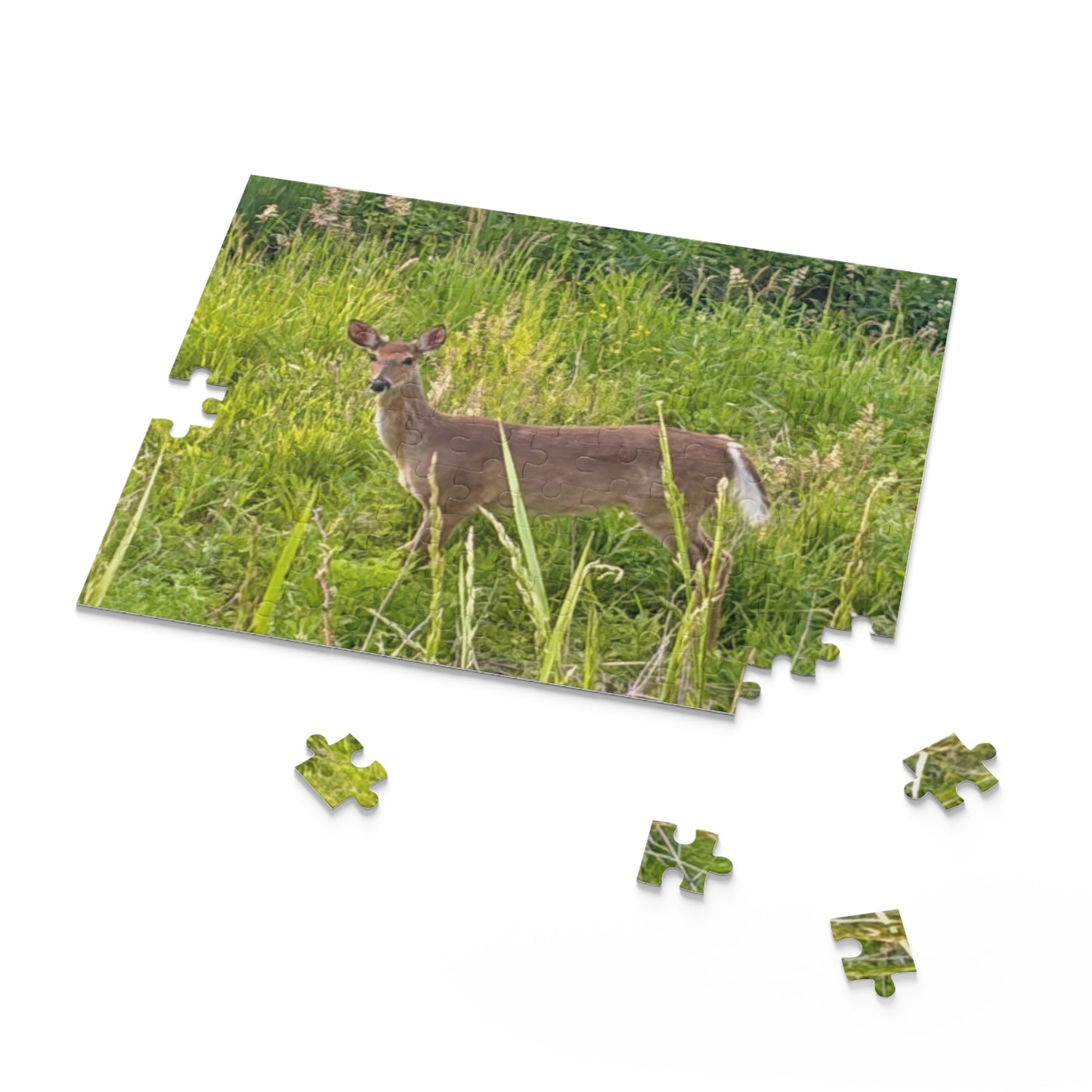 White-Tailed Deer Nature Puzzle — 120/252/500-Piece Wildlife Jigsaw
