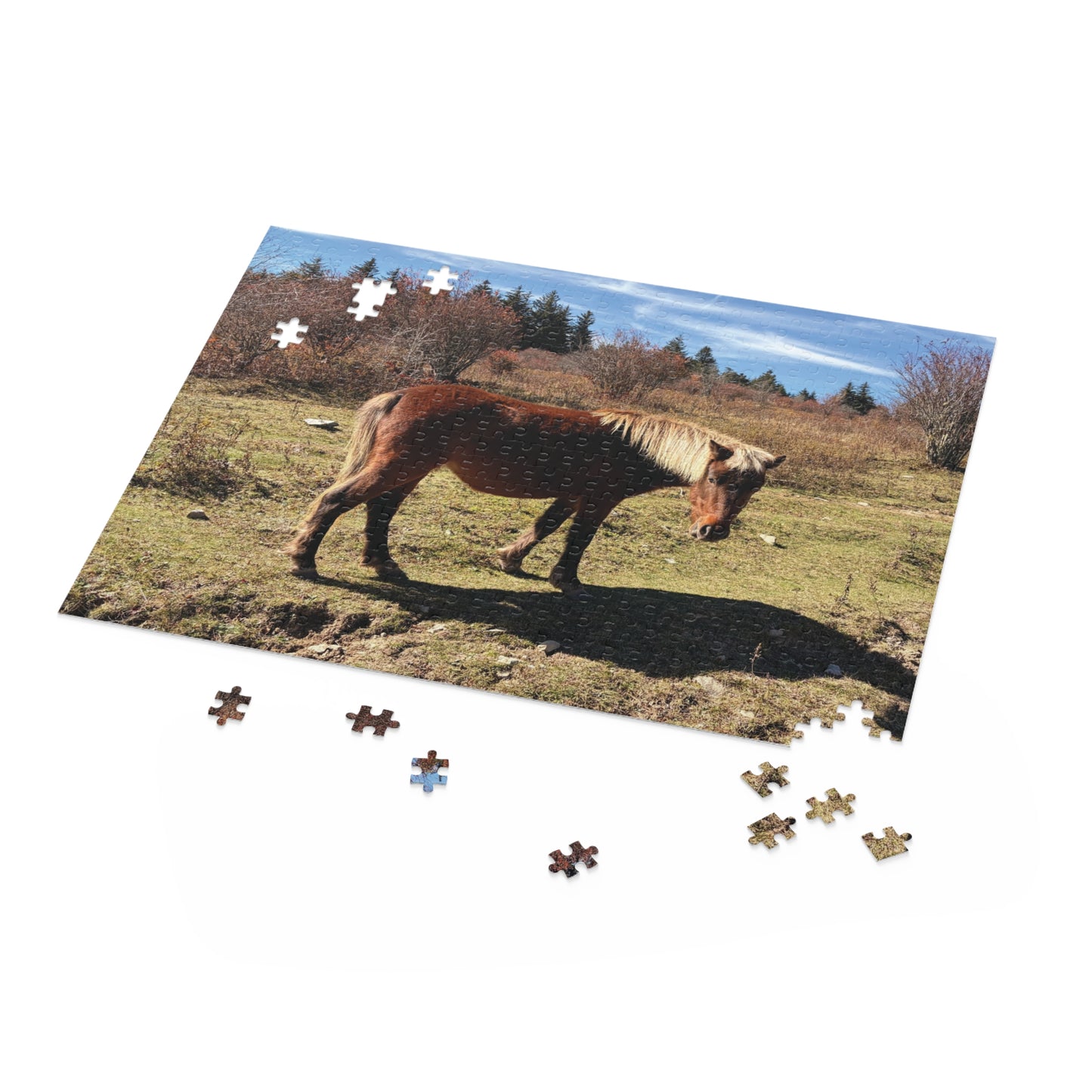 Wild Pony Meadow Puzzle — Scenic Horse Jigsaw (120/252/500 Piece)