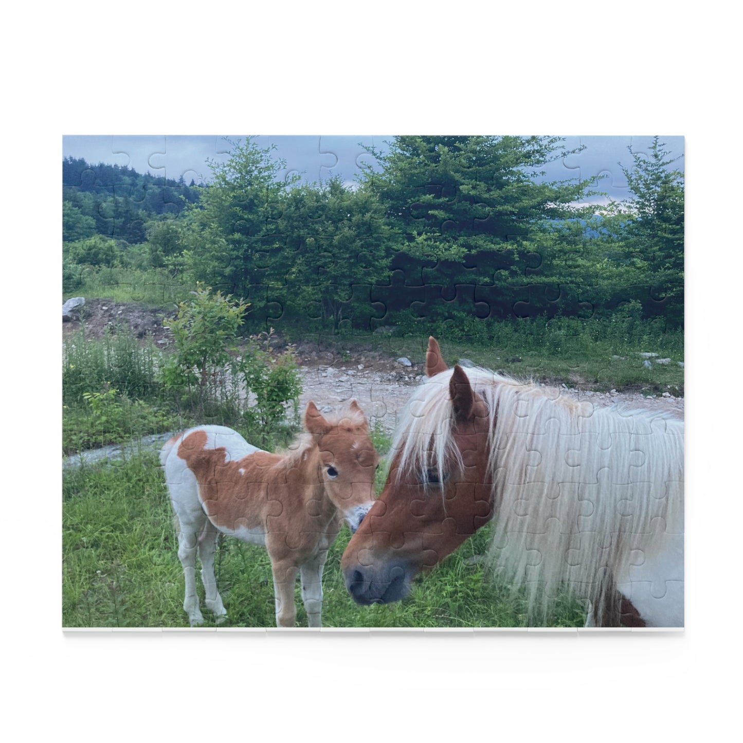 Horse & Foal Scenic Jigsaw Puzzle – 120/252/500-Piece Nature Puzzle
