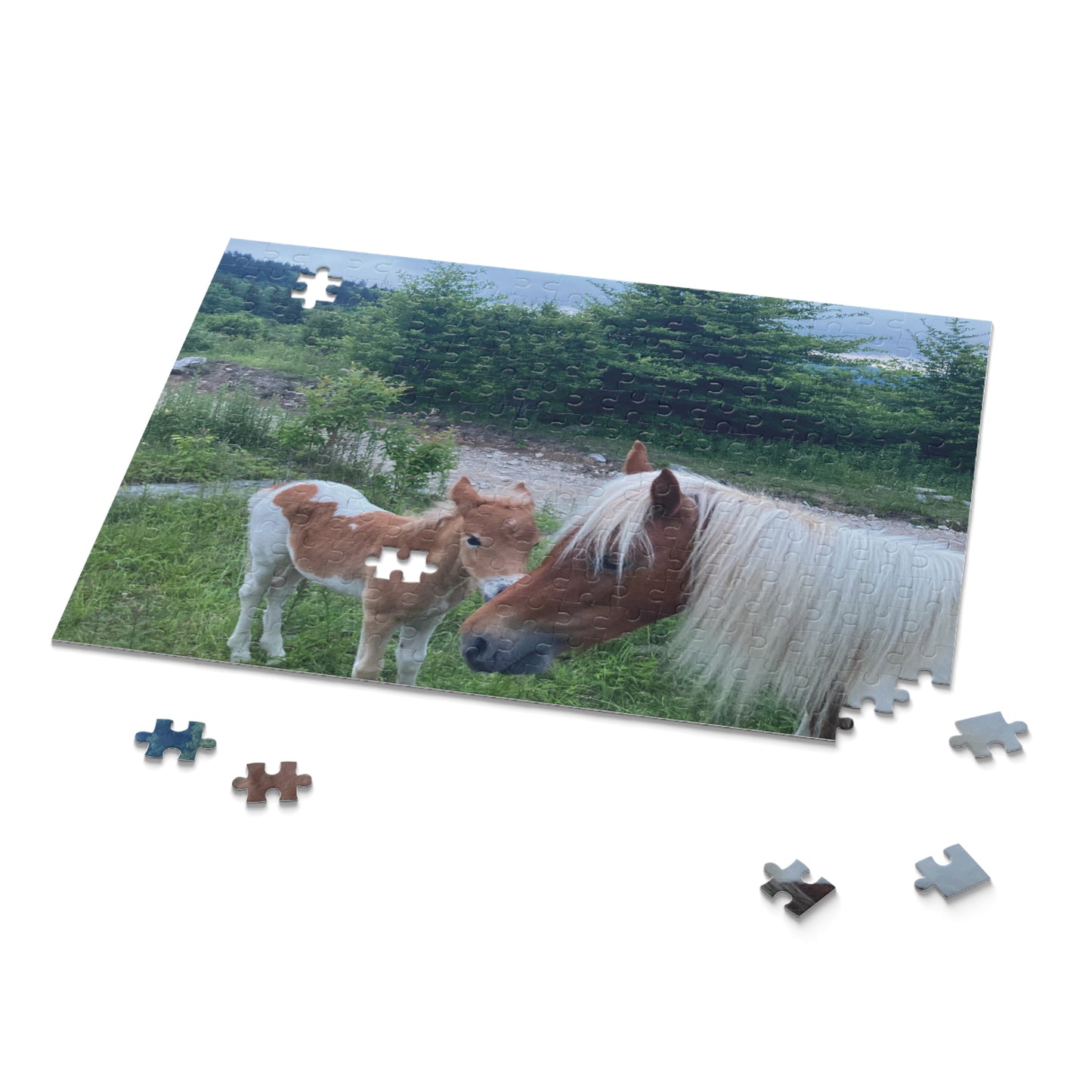 Horse & Foal Scenic Jigsaw Puzzle – 120/252/500-Piece Nature Puzzle