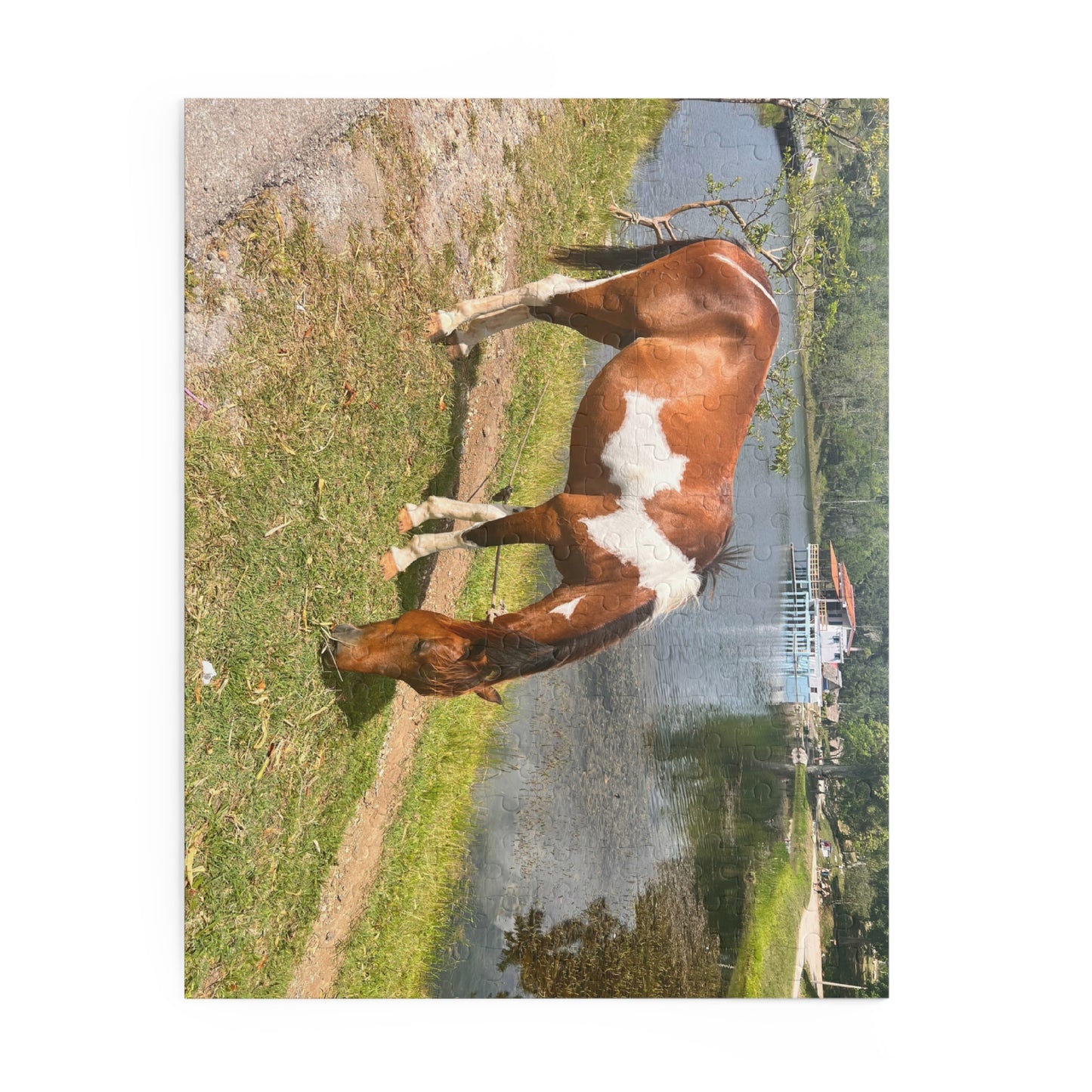 Horse by Lake Jigsaw Puzzle — Scenic Grazing Horse Puzzle (120/252/500-Piece)