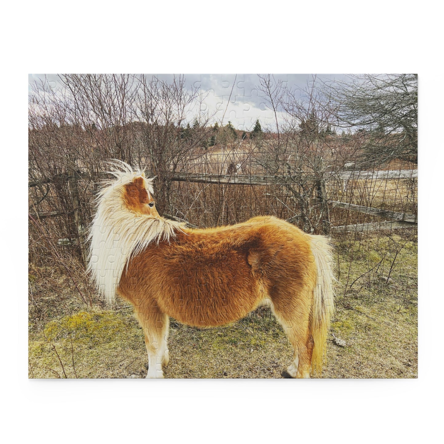 Pony Portrait Puzzle — Scenic Brown Shetland Horse Jigsaw (120/252/500-Piece)