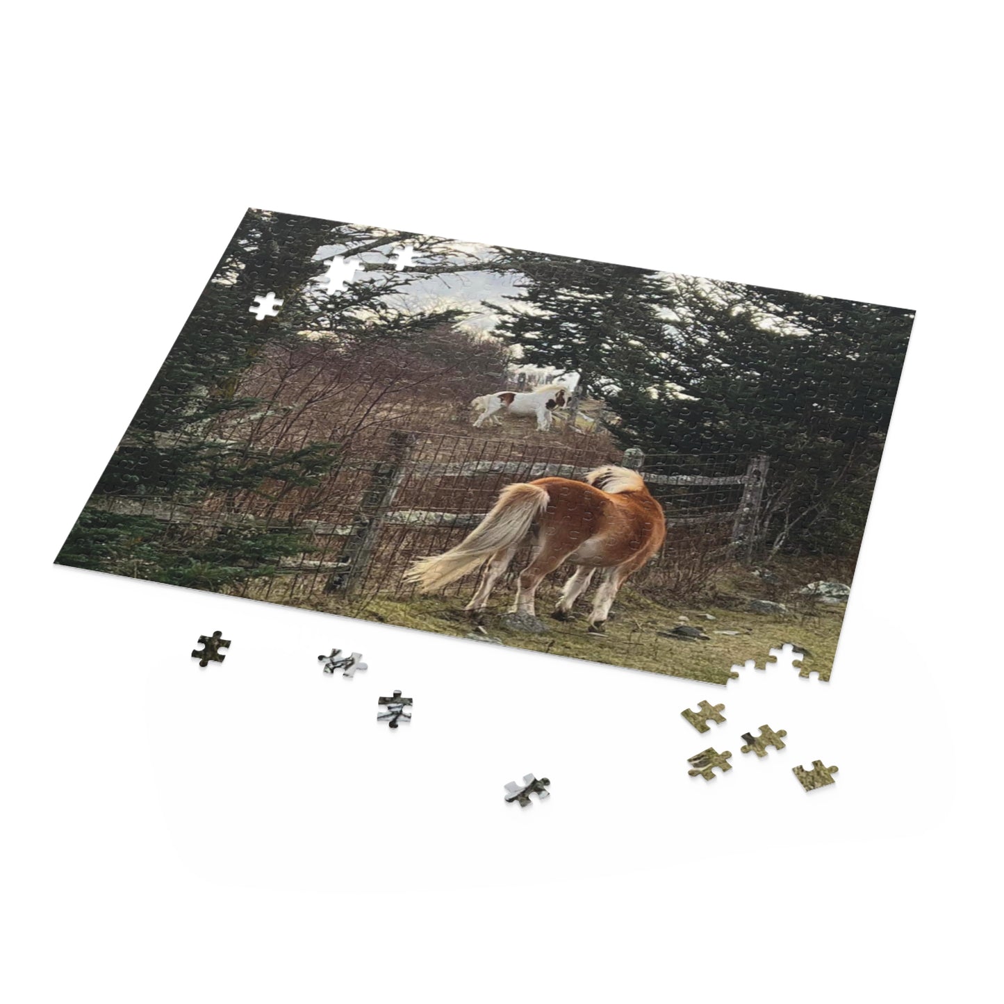 Horse Pasture Jigsaw Puzzle — Scenic Foals in Woodland (120/252/500 pc)